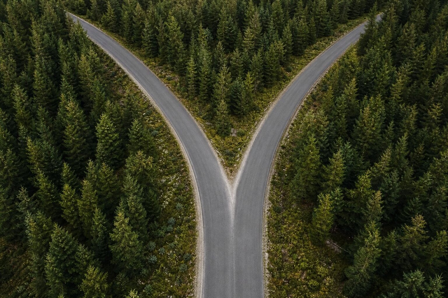 fork in the road